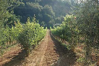 Podere Fontecastello Montepulciano 0*,  Italy